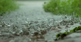 তিন বিভাগে ভারি বৃষ্টিপাতের সতর্কতা